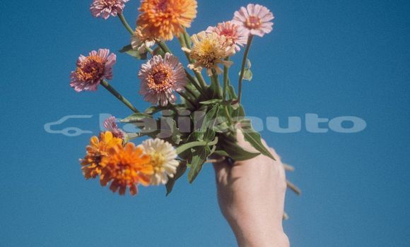 Medium with watermark image