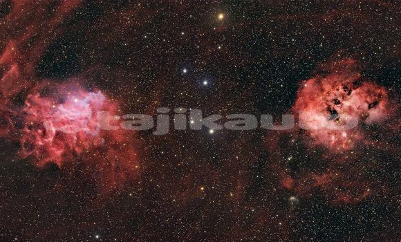 Medium with watermark image