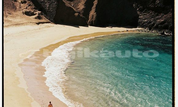 Medium with watermark image
