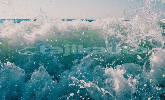 Medium with watermark image