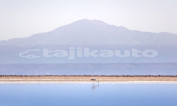 Medium with watermark image