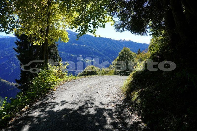 Big with watermark image
