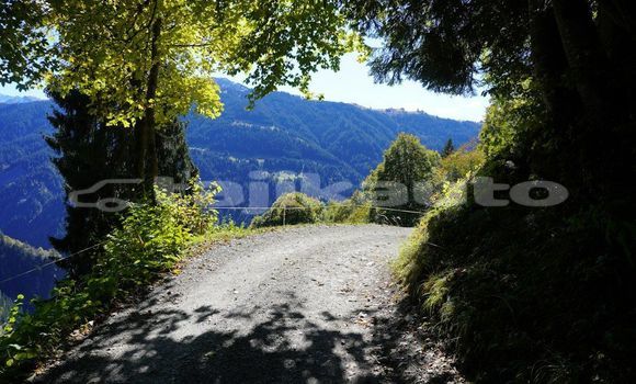 Medium with watermark image