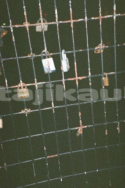 Big with watermark image