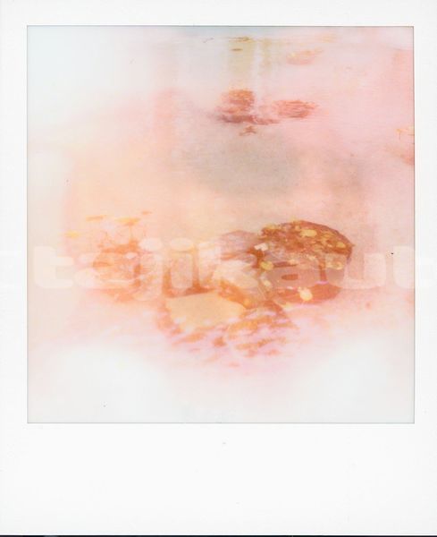 Big with watermark image