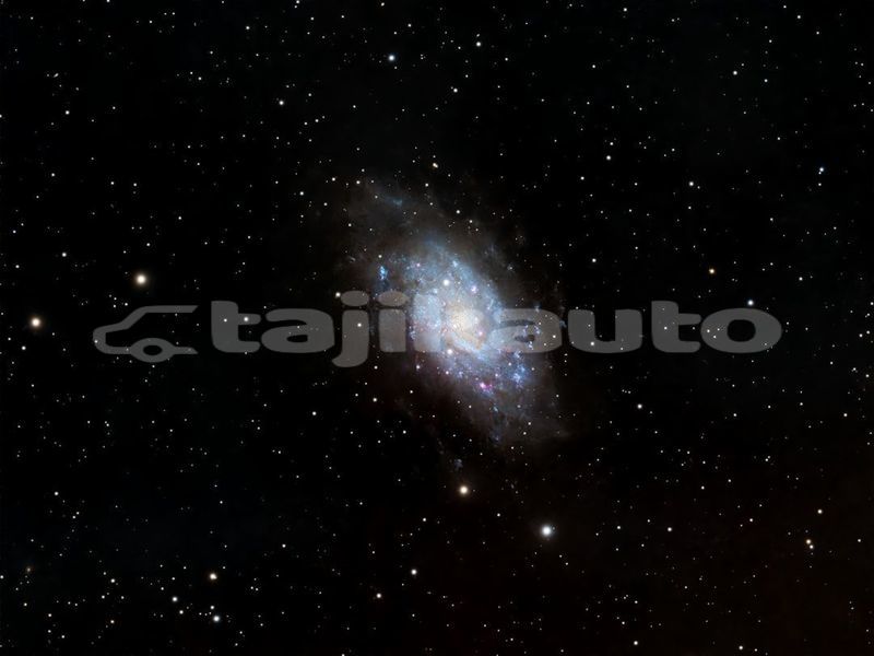 Big with watermark image