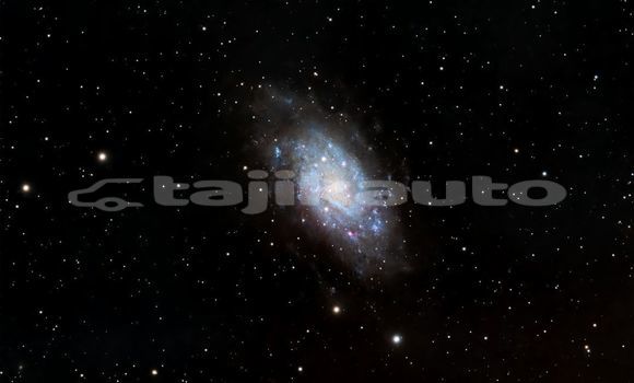 Medium with watermark image