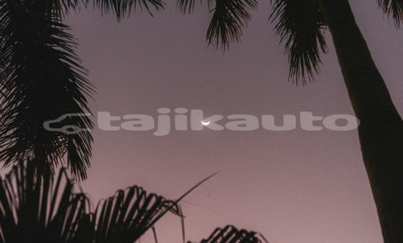 Medium with watermark image