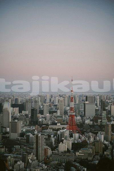 Big with watermark image