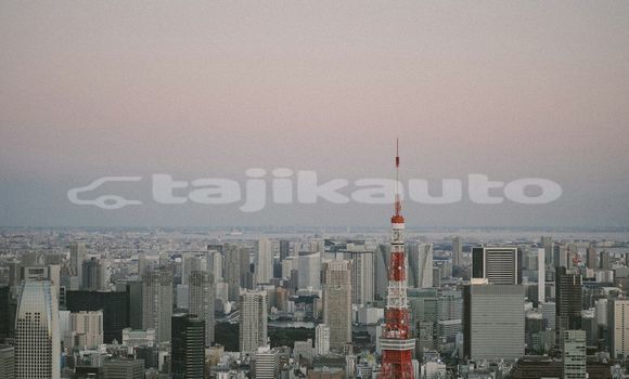 Medium with watermark image