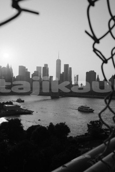 Big with watermark image