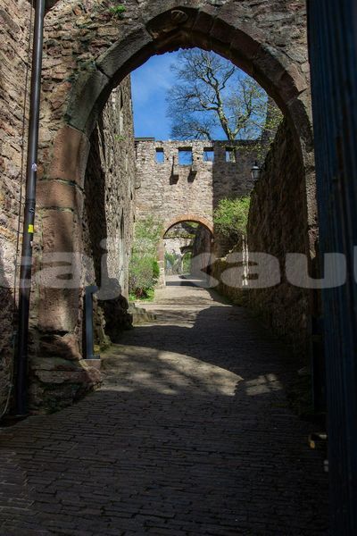 Big with watermark image