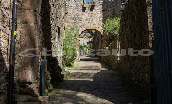 Medium with watermark image