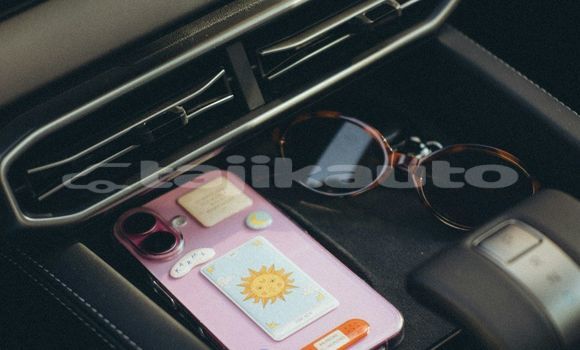 Medium with watermark image