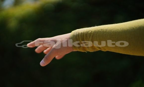 Medium with watermark image