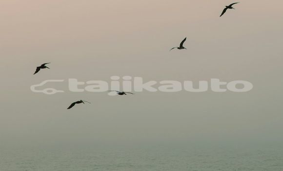 Medium with watermark image