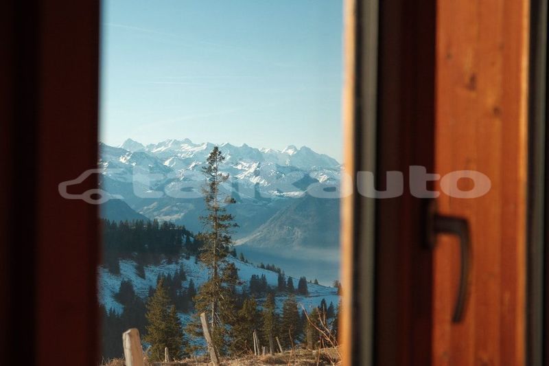Big with watermark image
