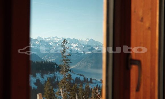 Medium with watermark image