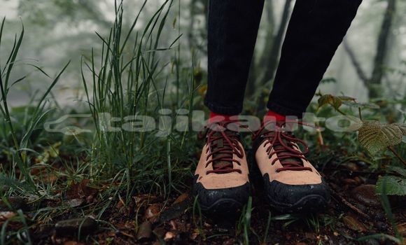 Medium with watermark image