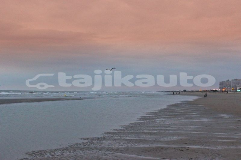 Big with watermark image