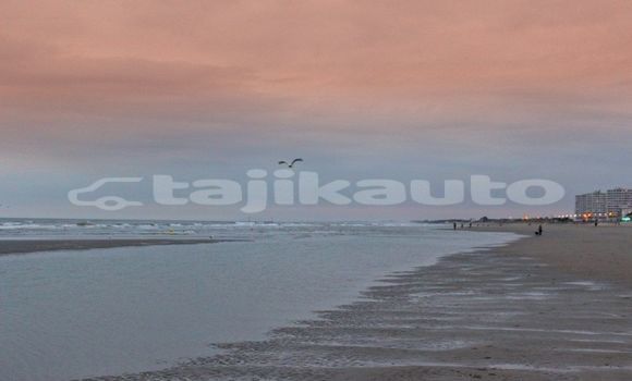 Medium with watermark image