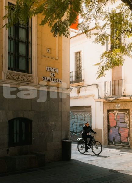 Big with watermark image