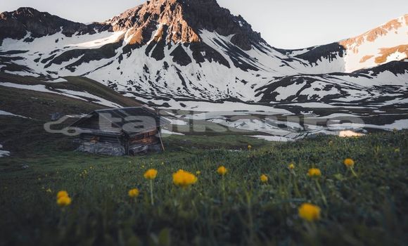 Medium with watermark image