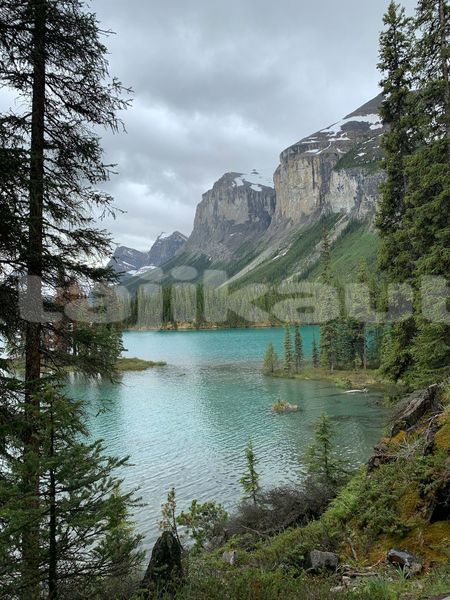 Big with watermark image
