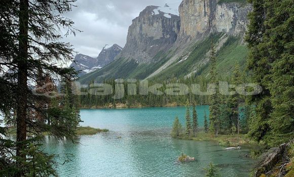 Medium with watermark image