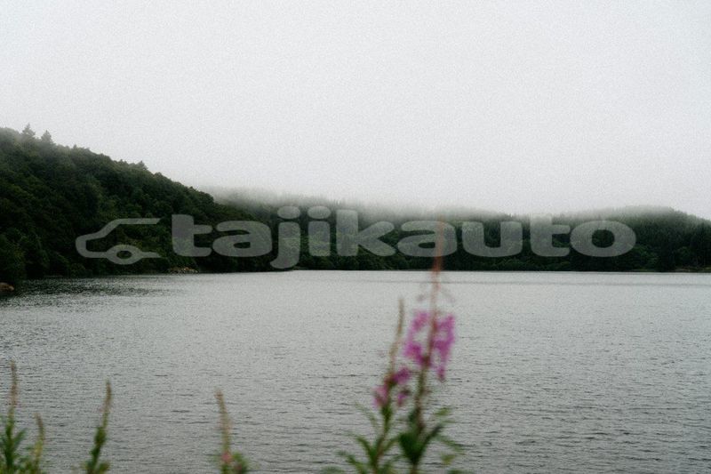 Big with watermark image