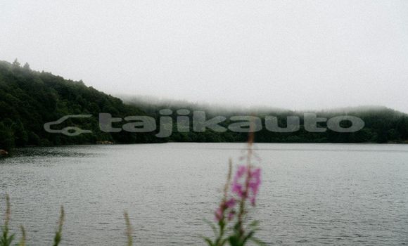 Medium with watermark image