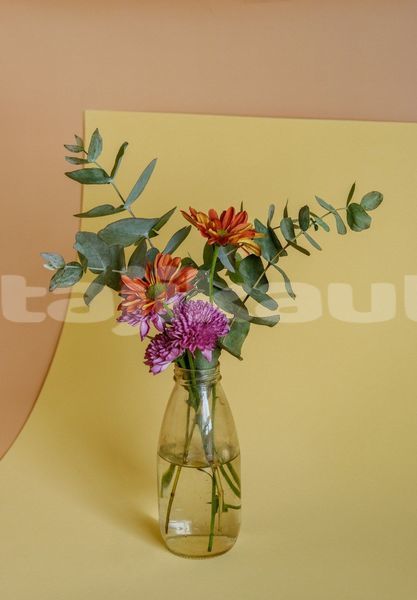 Big with watermark image