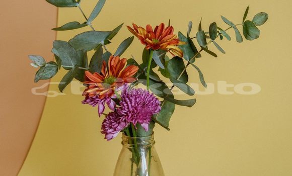 Medium with watermark image