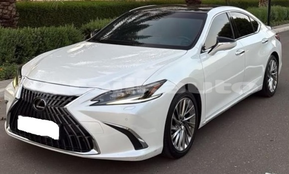 Buy Used Lexus ES White Car in Buston in Sughd