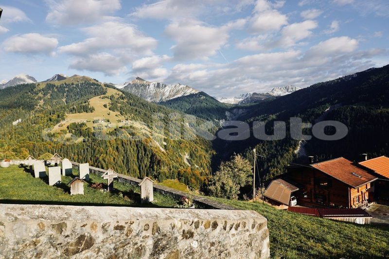Big with watermark image