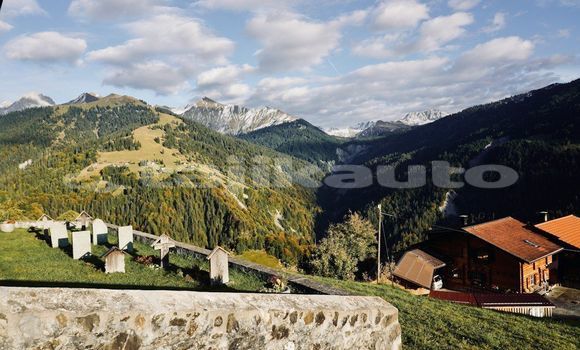 Medium with watermark image