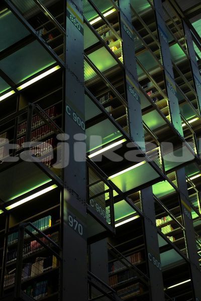 Big with watermark image