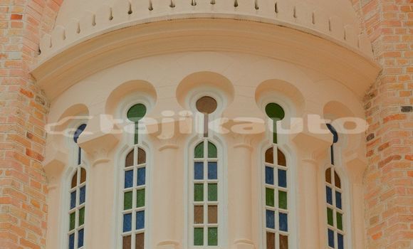Medium with watermark image