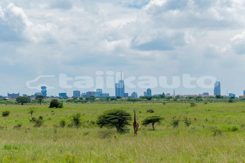 Big with watermark image