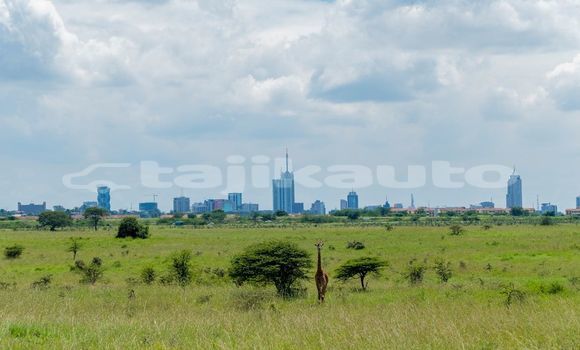 Medium with watermark image