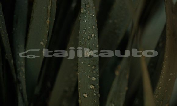 Medium with watermark image
