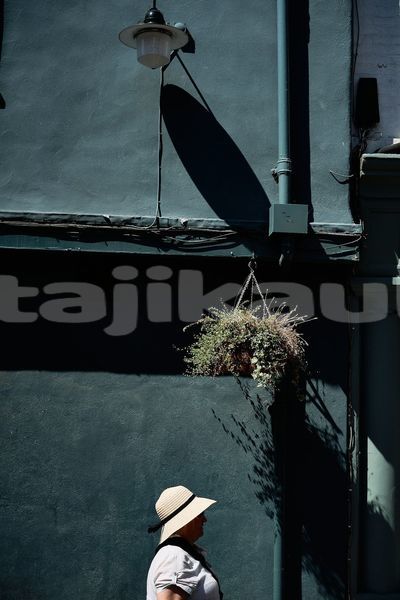 Big with watermark image