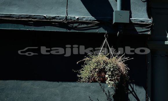 Medium with watermark image