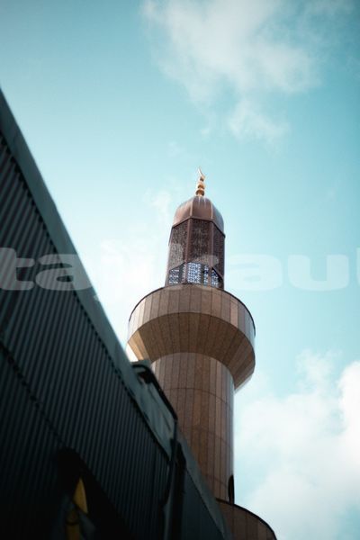 Big with watermark image