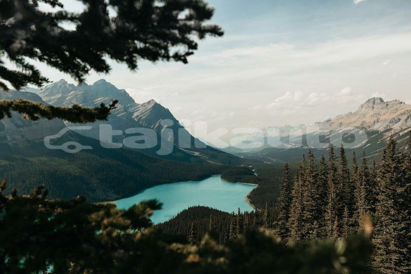Big with watermark image