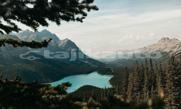 Medium with watermark image