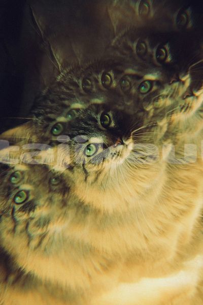Big with watermark image