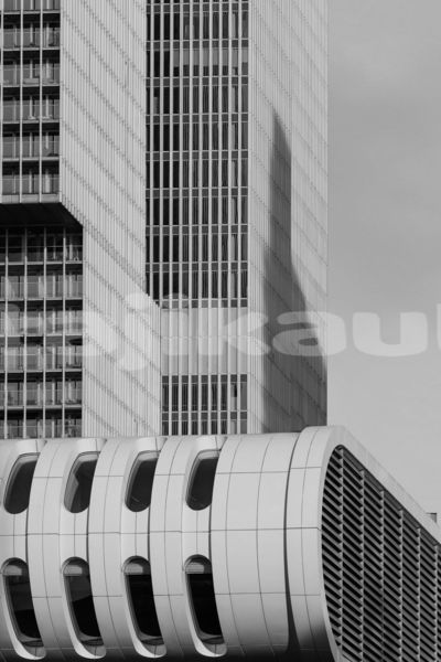 Big with watermark image