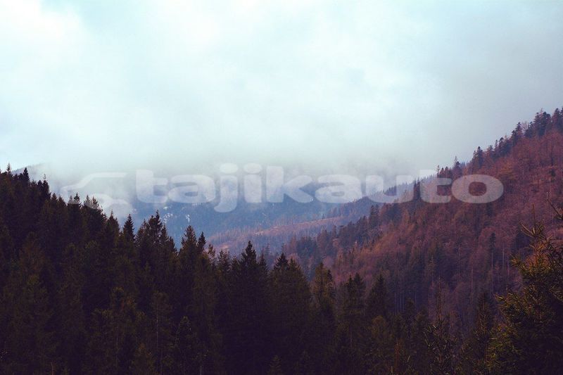 Big with watermark image