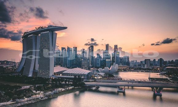 Medium with watermark image